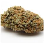 Шишки AK47  (Гидропоника, Бошка) VHQ в Лянторе